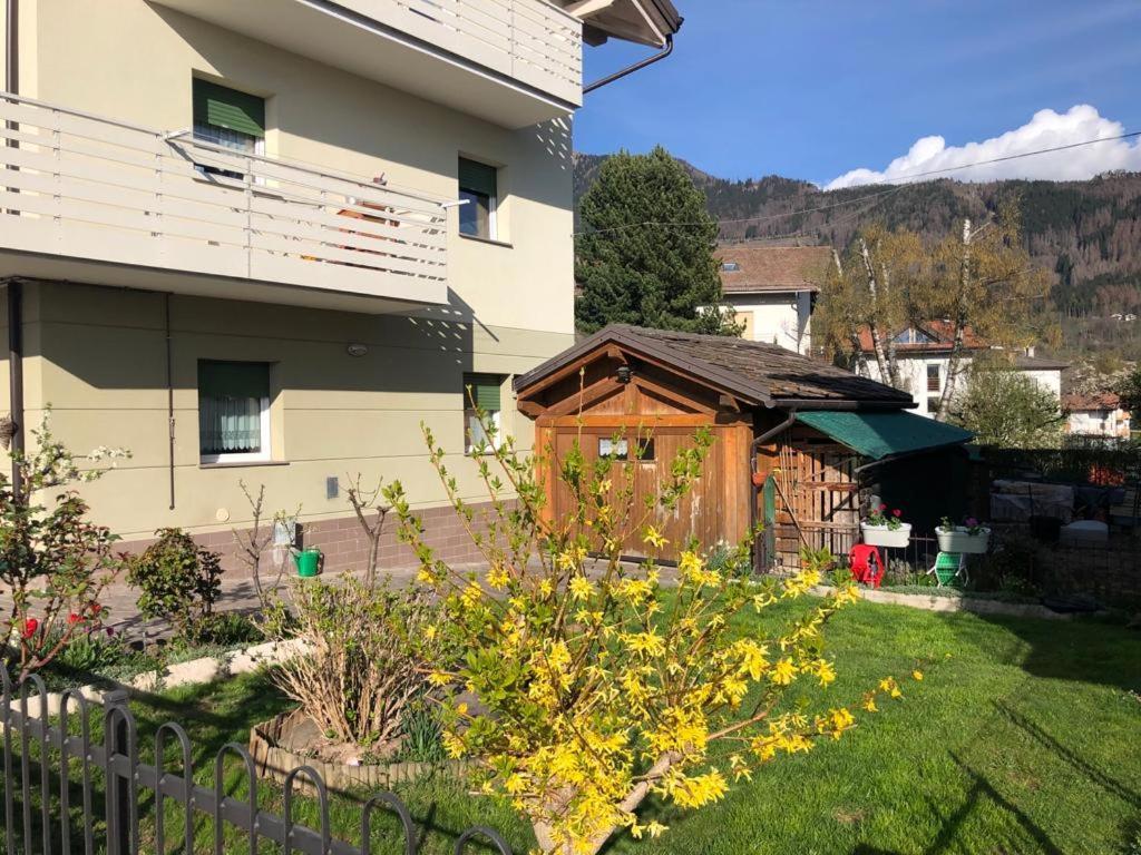 Appartamento Luminoso, Giardino, Vista Dolomiti. 巴塞尔加·迪·皮纳 外观 照片