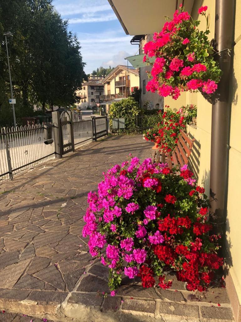 Appartamento Luminoso, Giardino, Vista Dolomiti. 巴塞尔加·迪·皮纳 外观 照片