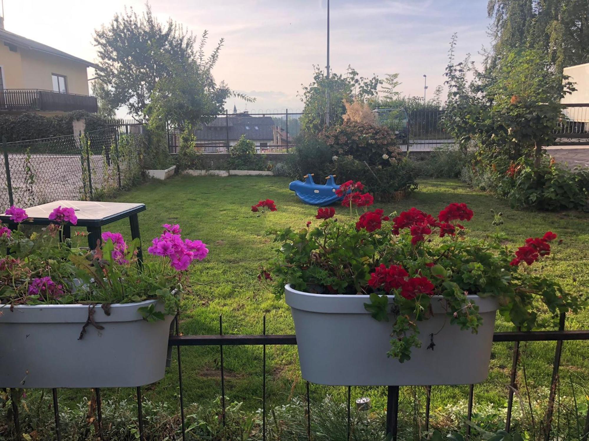 Appartamento Luminoso, Giardino, Vista Dolomiti. 巴塞尔加·迪·皮纳 外观 照片